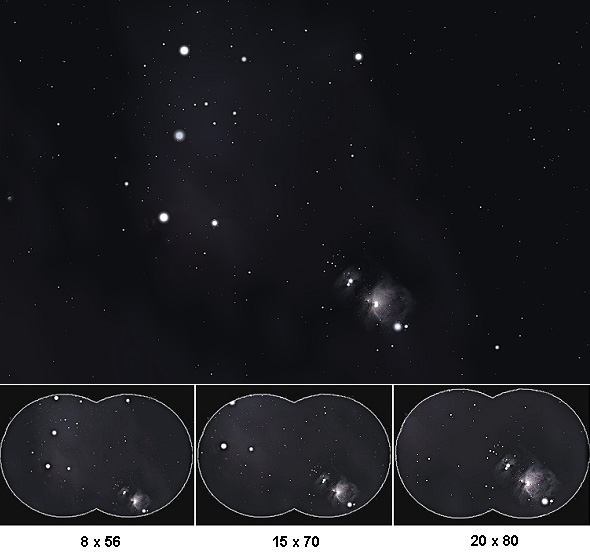 comparativa de campos campo